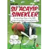 Şu Acayip Sinekler