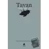 Tavan