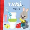 Tavşinin Lazımlığı