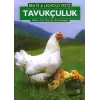 Tavukçuluk