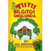 Tıstıs Bilgitos Okulunda