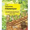 Tohumlar Filizleniyor