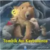 Tombik Ayı Kaybolunca