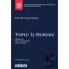 Toplu İş Hukuku İstanbul Üniversitesi Hukuk Fakültesi Ders Kitapları Dizisi (Ciltli)