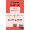 Toplu Oyunları 4 - İd-Ego ve Süper Kahraman, Var Olmayan Ayşenin Muhteşem Maceraları