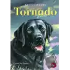 Tornado