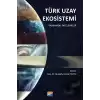 Türk Uzay Ekosistemi