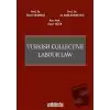 Turkish Collective Labour Law (Ciltli)