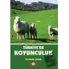 Türkiyede Koyunculuk