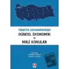 Türkiye Ekonomisinde Güncel Ekonomik ve Mali Konular