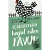 Uçabileceğini Hayal Eden Tavuk