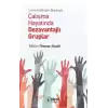 Ücret Ve İstihdam Boyutuyla Çalışma Hayatında Dezavantajlı Gruplar