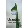 Uzantılar