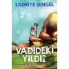 Vadideki Yıldız