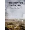 Yaban Hayvanı Koleksiyonu