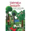 Yaprağın Renkleri