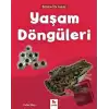 Yaşam Döngüleri - Bilime İlk Adım