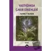 Yastığımda Çakır Dikenleri