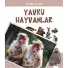 Yavru Hayvanlar