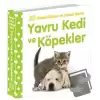 Yavru Kedi ve Köpekler - Bebek Dokun ve Hisset Serisi (Ciltli)