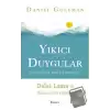 Yıkıcı Duygular