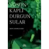 Yosun Kaplı Durgun Sular