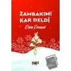 Zambakımı Kar Deldi