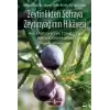 Zeytinlikten Sofraya Zeytinyağının Hikayesi