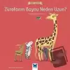 Zürafanın Boynu Neden Uzun?