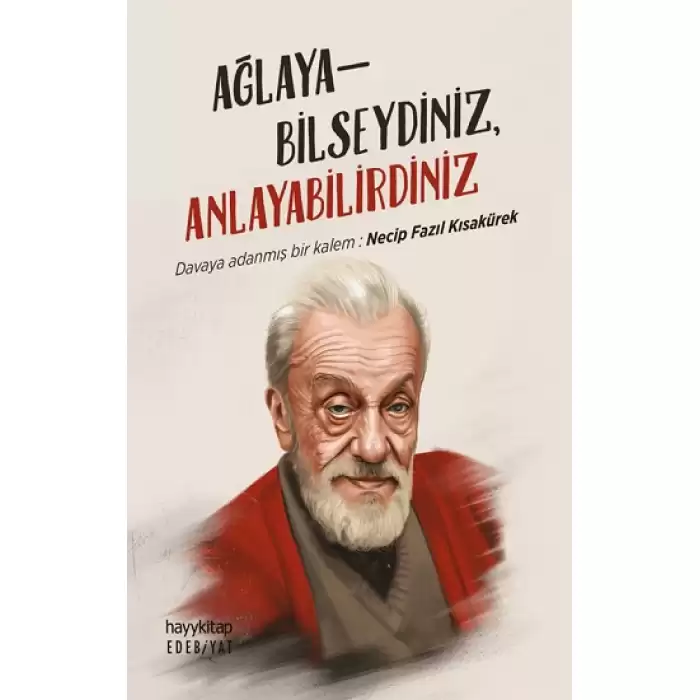 Ağlayabilseydiniz, Anlayabilirdiniz