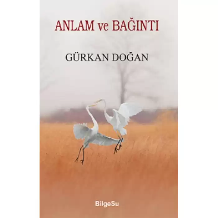 Anlam Ve Bağıntı