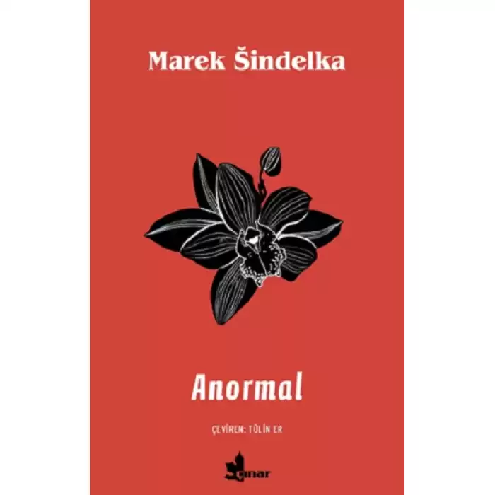 Anormal