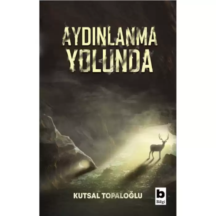 Aydınlanma Yolunda