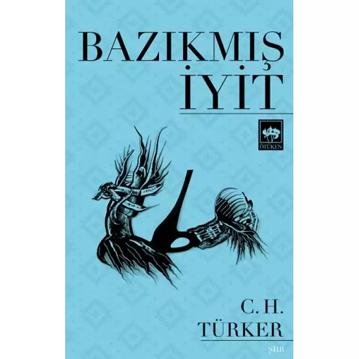 Bazıkmış İyit