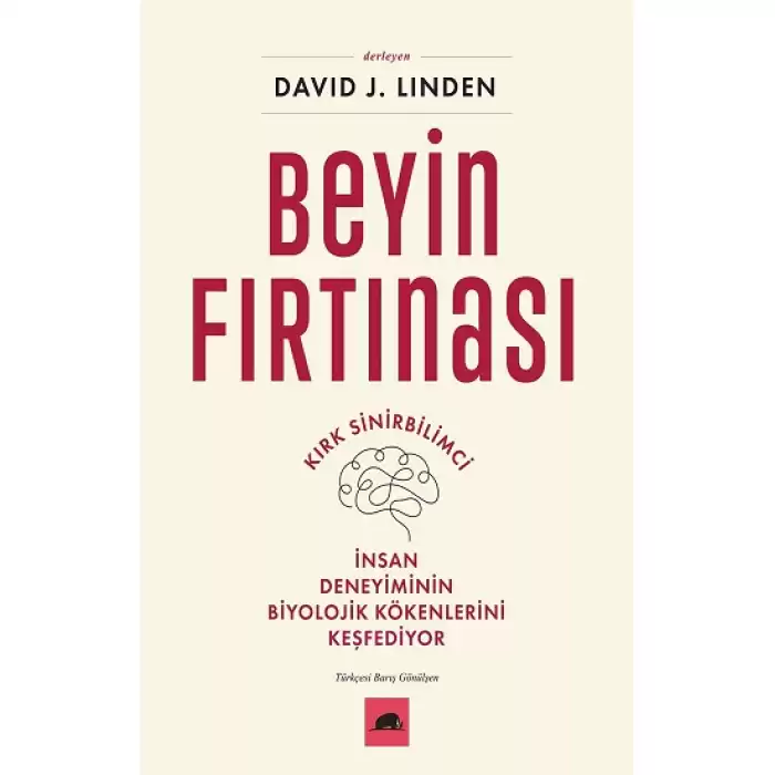 Beyin Fırtınası