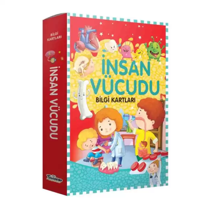 Bilgi Kartları - İnsan Vücudu