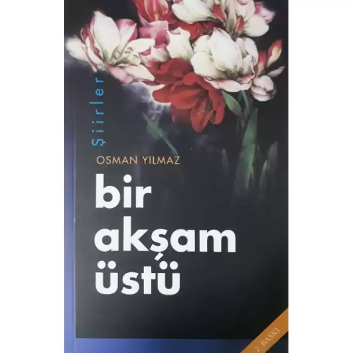 Bir Akşam Üstü