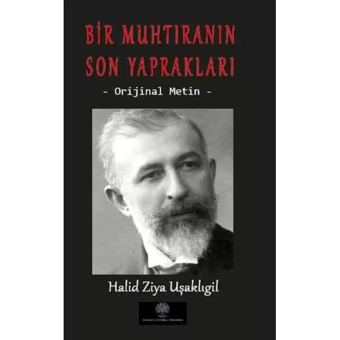 Bir Muhtıranın Son Yaprakları - Orijinal Metin