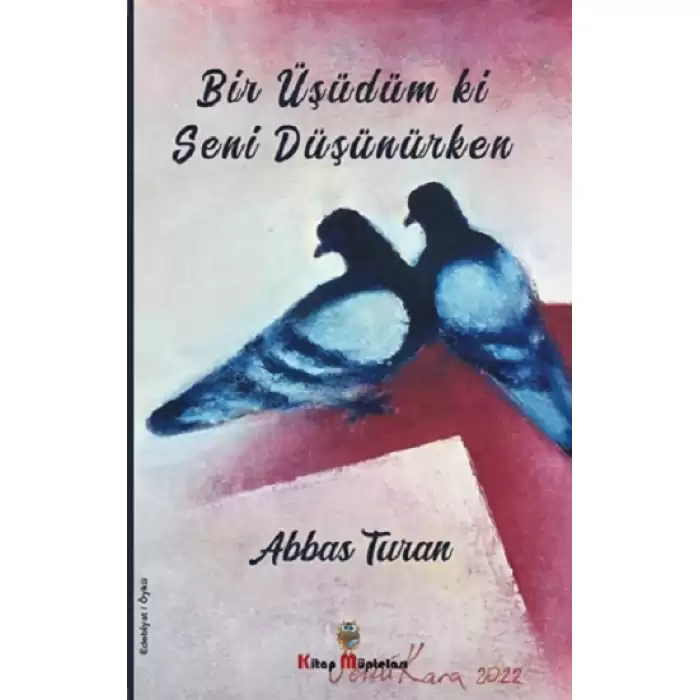 Bir Üşüdüm ki Seni Düşünürken