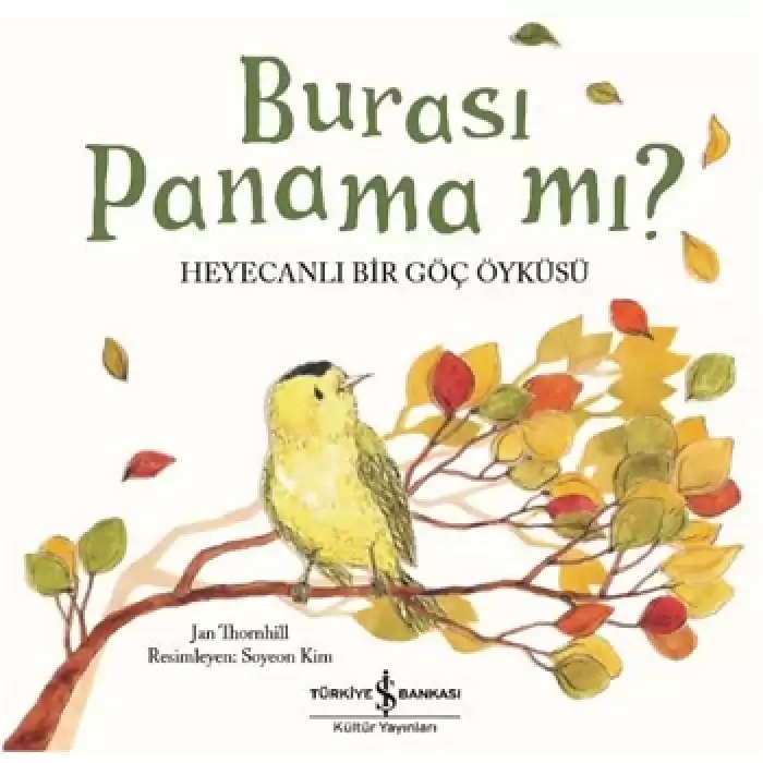 Burası Panama mı?