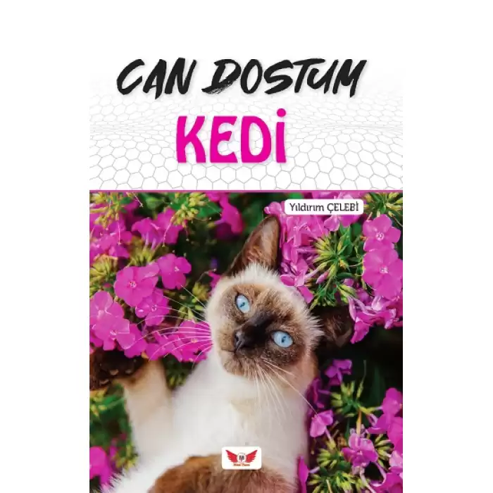 Can Dostum Kedi