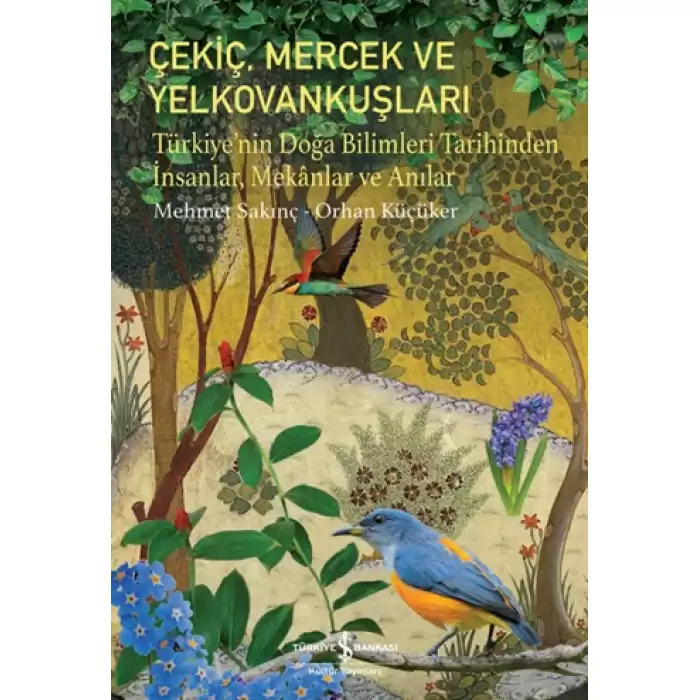 Çekiç, Mercek ve Yelkovankuşları