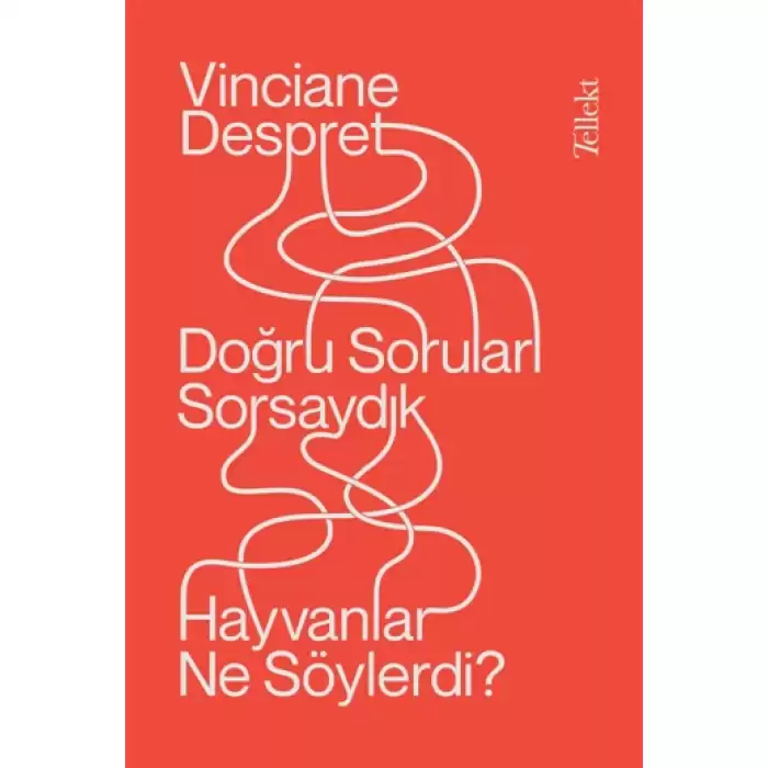 Doğru Soruları Sorsaydık Hayvanlar Ne Söylerdi?