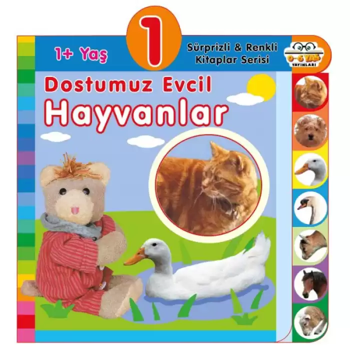 Dostumuz Evcil Hayvanlar (1+Yaş)