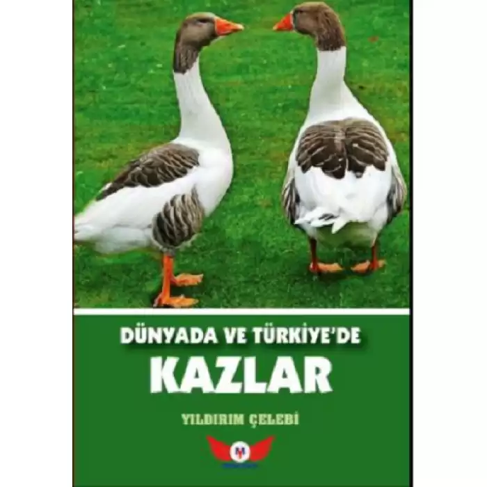 Dünyada Ve Türkiye’de Kazlar