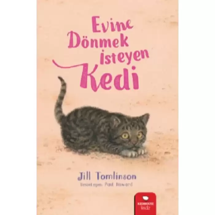 Evine Dönmek İsteyen Kedi