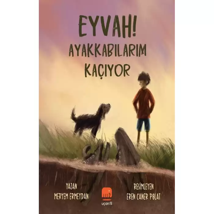 Eyvah! Ayakkabılarım Kaçıyor