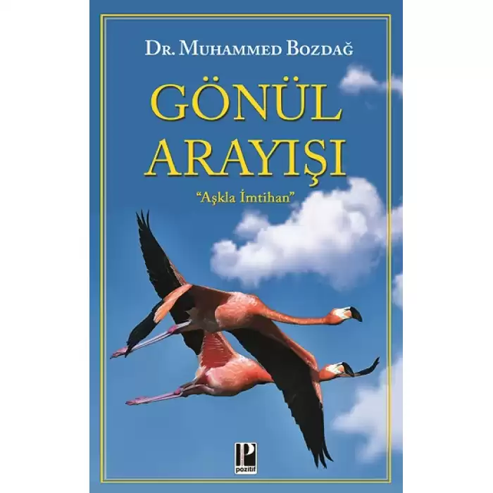 Gönül Arayışı