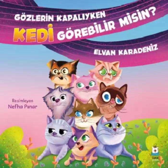 Gözlerin Kapalıyken Kedi Görebilir misin?