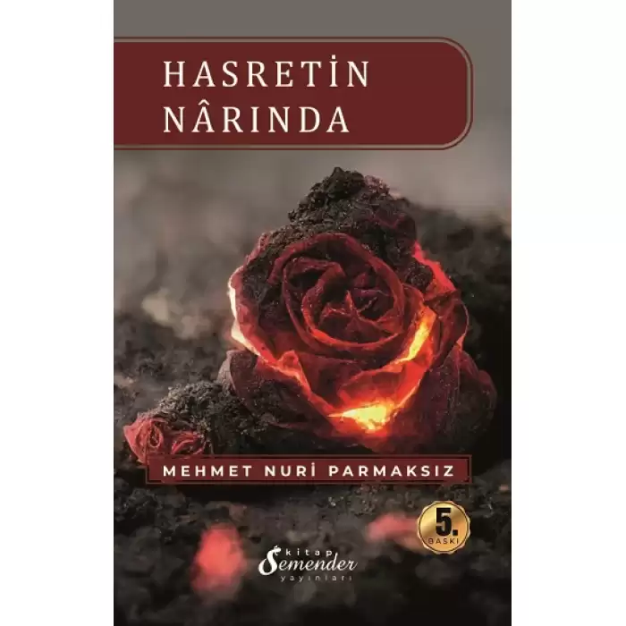 Hasretin Narında